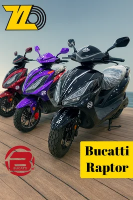 Bucatti Raptor