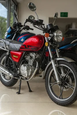 Moto Alcon